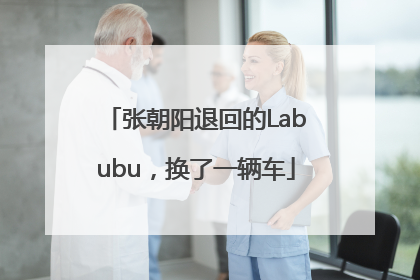 张朝阳退回的Labubu，换了一辆车