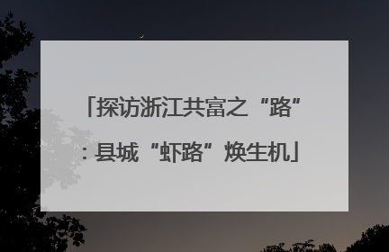 探访浙江共富之“路”：县城“虾路”焕生机