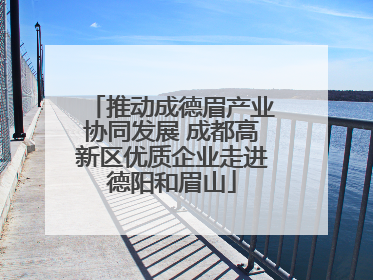 推动成德眉产业协同发展 成都高新区优质企业走进德阳和眉山