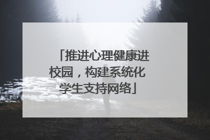 推进心理健康进校园，构建系统化学生支持网络