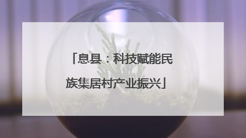 息县：科技赋能民族集居村产业振兴
