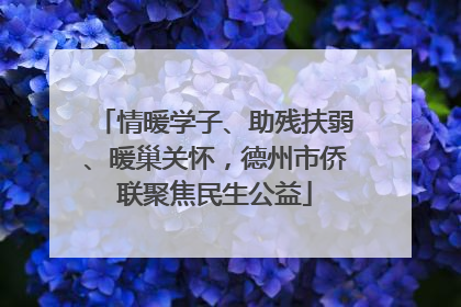 情暖学子、助残扶弱、暖巢关怀，德州市侨联聚焦民生公益
