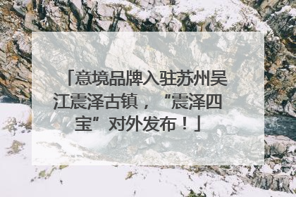 意境品牌入驻苏州吴江震泽古镇，“震泽四宝”对外发布！