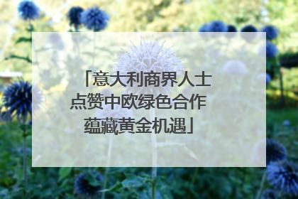 意大利商界人士点赞中欧绿色合作蕴藏黄金机遇