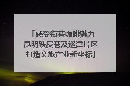 感受街巷咖啡魅力 昆明铁皮巷及巡津片区打造文旅产业新坐标
