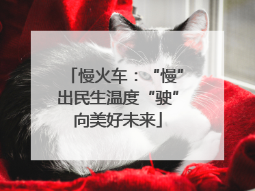 慢火车：“慢”出民生温度“驶”向美好未来