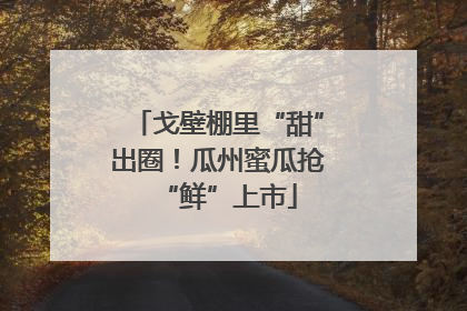 戈壁棚里“甜”出圈！瓜州蜜瓜抢“鲜”上市