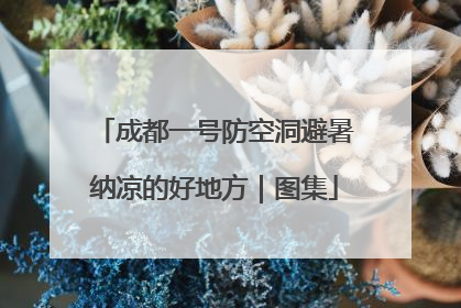 成都一号防空洞避暑纳凉的好地方｜图集