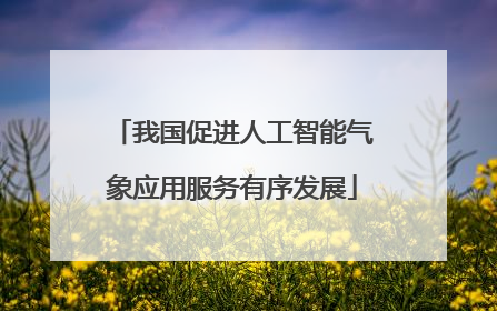 我国促进人工智能气象应用服务有序发展