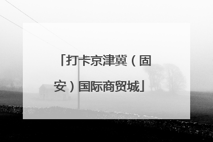 打卡京津冀（固安）国际商贸城