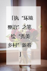 执“环境整治”之笔 绘“秀美乡村”新卷