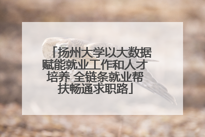 扬州大学以大数据赋能就业工作和人才培养 全链条就业帮扶畅通求职路