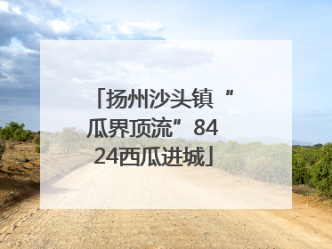 扬州沙头镇“瓜界顶流”8424西瓜进城