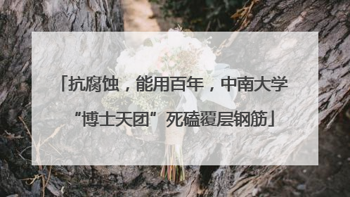 抗腐蚀，能用百年，中南大学“博士天团”死磕覆层钢筋
