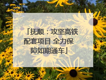 抚顺：攻坚高铁配套项目 全力保障如期通车