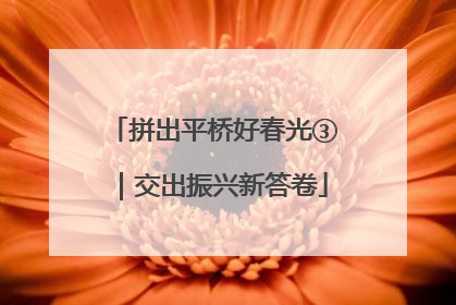 拼出平桥好春光③｜交出振兴新答卷