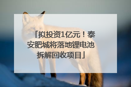 拟投资1亿元！泰安肥城将落地锂电池拆解回收项目