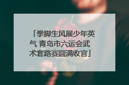 拳脚生风展少年英气 青岛市六运会武术套路赛圆满收官