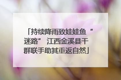 持续降雨致娃娃鱼“迷路” 江西金溪县干群联手助其重返自然