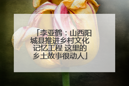 李亚鹤：山西阳城县推进乡村文化记忆工程 这里的乡土故事很动人