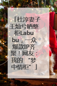 杜淳妻子王灿兮晒整柜Labubu，一众爆款IP齐聚！网友：我的 “梦中情柜”