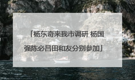 杨东奇来我市调研 杨国强陈必昌田和友分别参加