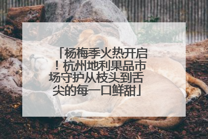 杨梅季火热开启！杭州地利果品市场守护从枝头到舌尖的每一口鲜甜