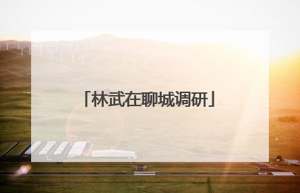 林武在聊城调研