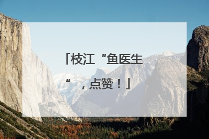 枝江“鱼医生”，点赞！