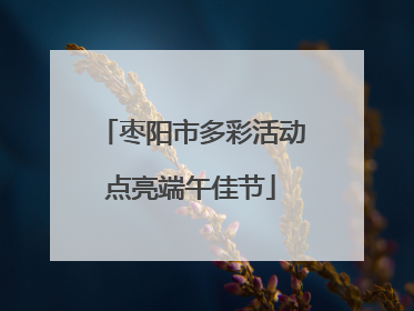 枣阳市多彩活动点亮端午佳节