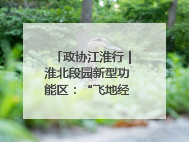 政协江淮行｜淮北段园新型功能区：“飞地经济”拔节生长