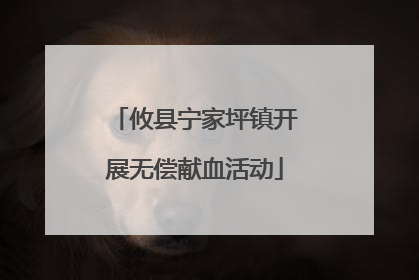 攸县宁家坪镇开展无偿献血活动