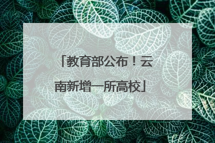 教育部公布！云南新增一所高校