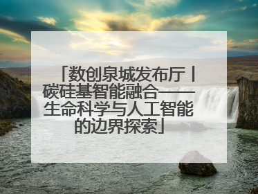 数创泉城发布厅丨碳硅基智能融合——生命科学与人工智能的边界探索