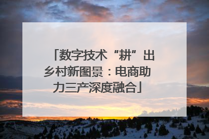 数字技术“耕”出乡村新图景：电商助力三产深度融合