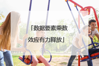 数据要素乘数效应有力释放