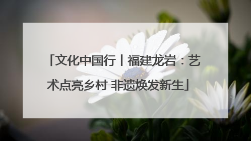 文化中国行丨福建龙岩：艺术点亮乡村 非遗焕发新生