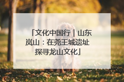文化中国行｜山东岚山：在尧王城遗址探寻龙山文化