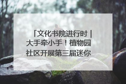 文化书院进行时｜大手牵小手！植物园社区开展第三届迷你马拉松活动