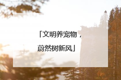 文明养宠物，蔚然树新风