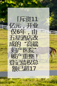 斥资11亿元，开业仅6年，由五星酒店改成的“高端妇产医院”破产重整！登记债权总额已超17亿元
