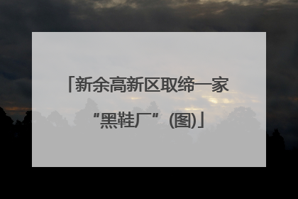 新余高新区取缔一家“黑鞋厂”(图)