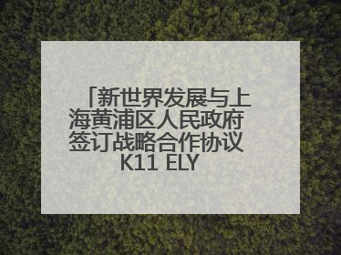新世界发展与上海黄浦区人民政府签订战略合作协议 K11 ELYSEA璀璨启幕