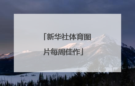 新华社体育图片每周佳作