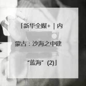 新华全媒+｜内蒙古：沙海之中建“蓝海”(2)