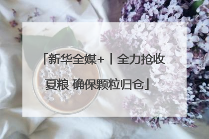 新华全媒+丨全力抢收夏粮 确保颗粒归仓