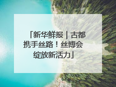 新华鲜报｜古都携手丝路！丝博会绽放新活力