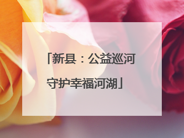 新县：公益巡河守护幸福河湖