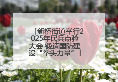 新桥街道举行2025年民兵点验大会 锻造国防建设“拳头力量”