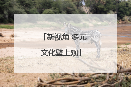 新视角 多元文化壁上观